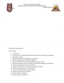 La revolución mexina