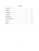 ¿Cuál considera que es la importancia de expandir una empresa en otros países?