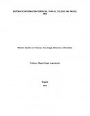 SISTEMA DE INFORMACIÓN GERENCIAL PARA EL COLEGIO SAN RAFAEL (IED)