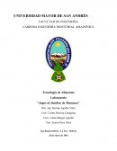 Identificar el proceso de producción de preparación de jugo al almíbar “manzana.”