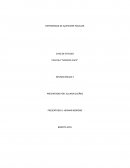 Estudio de caso PRESENTADO A: HERNAN MORENO