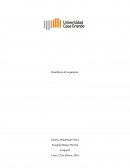 Beneficios del veganimo.