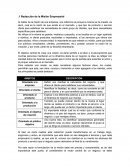 Redacción de la Misión Empresarial