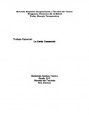 LA CARTA COMERCIAL: SUS PARTES Y ESPACIOS