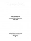 CONTABILIDAD GRUPO A1 - PRODUCTO 2 - CIPAS 1