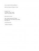 Relatorio de observación de terreno MIU UNR