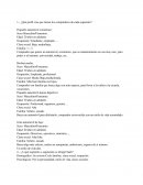 ¿Qué perfil cree que tienen los compradores de cada segmento?