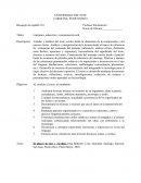 Estudio y análisis del texto escrito desde la dimensión de la comprensión y del proceso lector.