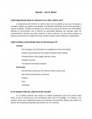 ¿Qué importancia tiene en internet en tu vida o diario vivir?