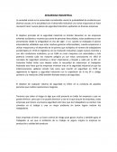 Srguridad industrial.