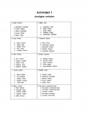 Actividad de Analogías verbales