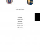 Practica de Laboratorio Etapa 2 Quimica.