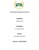 ¿Qué beneficios piensa que trae al comunicador seguir un proceso de estructuración de ideas, antes de presentar a un público su mensaje?