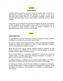 Las bacterias son los organismos más abundantes del planeta. Son ubicuas, se encuentran en todos los hábitats terrestres y acuáticos; crecen hasta en los más extremos como en los manantiales de aguas calientes y ácidas