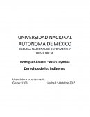 Derechos de los pueblos indígenas. Es necesario recordad que los pueblos indígenas