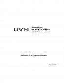 Definición de un Proyecto Innovador. Proyecto Inovador