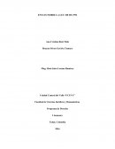 ENSAYO SOBRE LA LEY 100 DE 1993.