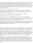 Trabajo de Observación de Terreno.