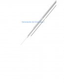 La incubación y aceleración para los startups