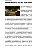 ESCUELAS MULTIGRADO ¿QUÉ SON? ¿DÓNDE ESTÁN?