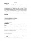 Protocolo Drosophilas