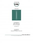 Diagnostico Organizacional Coomeva Eps