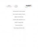 MAPA MENTAL DE LA DIMENSIÓN DEL HOMBRE