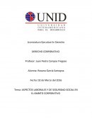 Tema: ASPECTOS LABORALES Y DE SEGURIDAD SOCIAL EN EL ÁMBITO CORPORATIVO