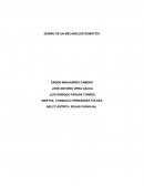 DISEÑO DE UN MECANÉLIDO ROBÓTICO