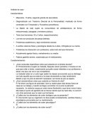 Análisis de caso psicológico.