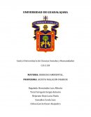 LA CUESTION JURIDICA AMBIENTAL.