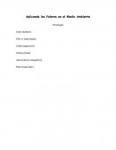 Aplicando los Valores en el Medio Ambiente