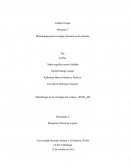 Metodología para investigar alternativas de solución.