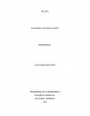 EJERCICIOS DE LA APLICACIÓN ESTADISTICA