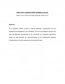PRACTICA LABORATORIO BIOMOLECULAS.