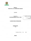 Estructura del plan de preescolar. Bases para el trabajo pedagógico