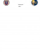 Ensayo: La vida de Amelia