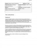 Ensayo: Gobierno corporativo