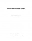PLAN DE GESTIÓN INTEGRAL DE RESIDUOS PELIGROSOS EMPRESA SOMBREROS EL PAISA