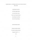 LABORATORIO NO 5: DETERMINACION DE LOS PUNTOS DE FUSION Y EBULLICION.