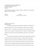 Jabon artesanal a base de graso de ganado y ceniza.