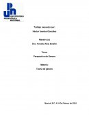 Ensayo de perspectiva de genero