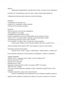 Implementar la duplicidad de la reproducción de videos o canciones en dos ordenadores en tiempo real, permitiendo que estas sean vistas y oídas en tiempo igual mediante las configuraciones pertinentes para realizar una conexión Streaming.