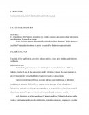 MANEJO DE BALANZA Y DETERMINACIÓN DE MASAS.