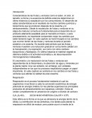 Ensayo acerca de las Frutas y verduras
