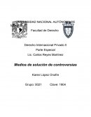 ¿Qué significa hablar de medios de solución desde el punto de vista procesal?
