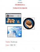 Trabajo de Investigación de informática.