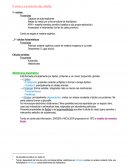 Orgánulos celulares.