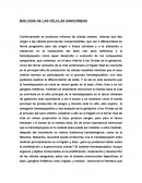 BIOLOGÍA DE LAS CÉLULAS SANGUÍNEAS-