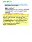 Chamamos metabolismo ao conxunto de todas as reaccións químicas que suceden no interior das células coa finalidade de obter enerxía para manter a súa concentración iónica e rexenerar continuamente as moléculas e estruturas que se degradan.